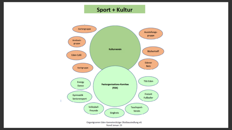 Organigram Kultur und Sport in Eden