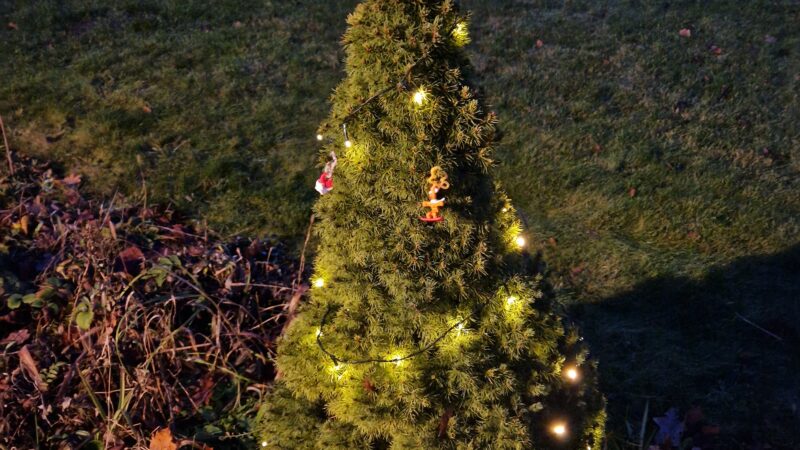 Adventskalender 2025 – Schon zum dritten Mal