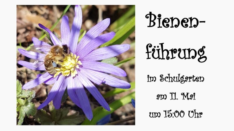 Einladung zur Bienenführung