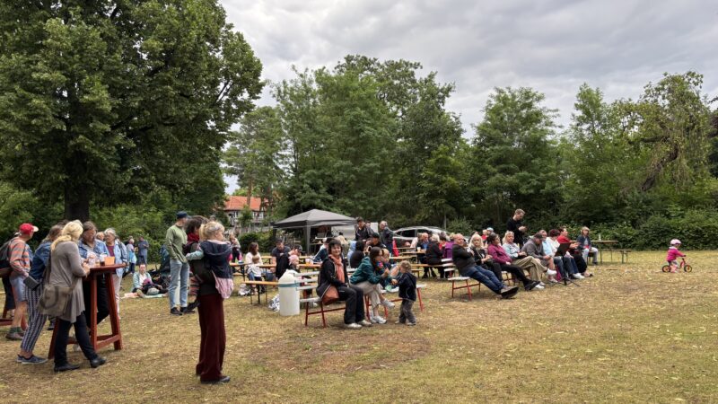 Eindrücke vom Musikpicknick