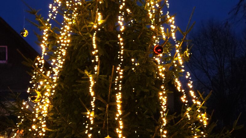 Vorweihnachtszeit in Eden – Eindrücke vom Adventskalender