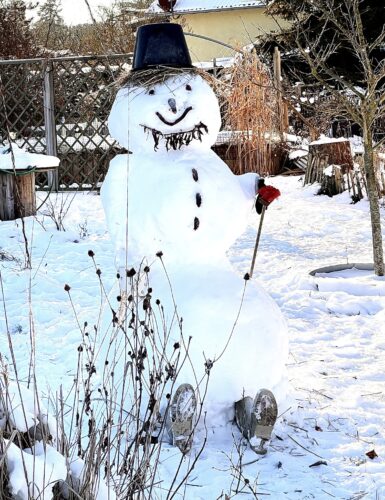 Gesehen im Garten von Anne und Tibor