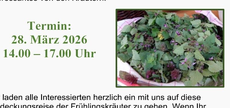 FrühlingsWildkräuterSeminar