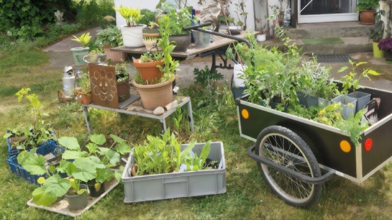Rückblick Offene Gartenrunde im Mai