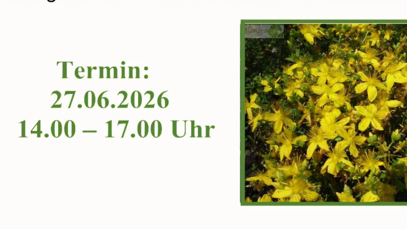 Sommer-Wildkräuter-Seminar am 27. Juni