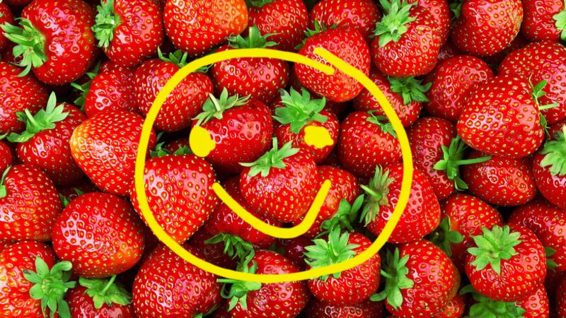 Erdbeeren halten jung!!!