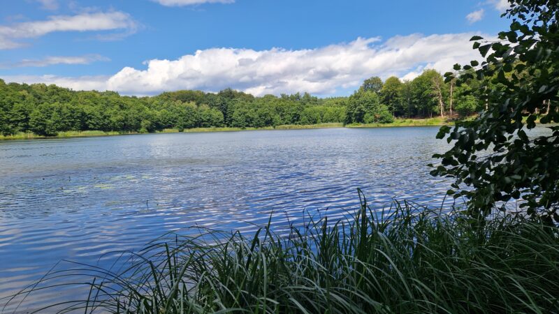 Hinaus in die Natur zu Kunst und Kultur – Ausflugstipps