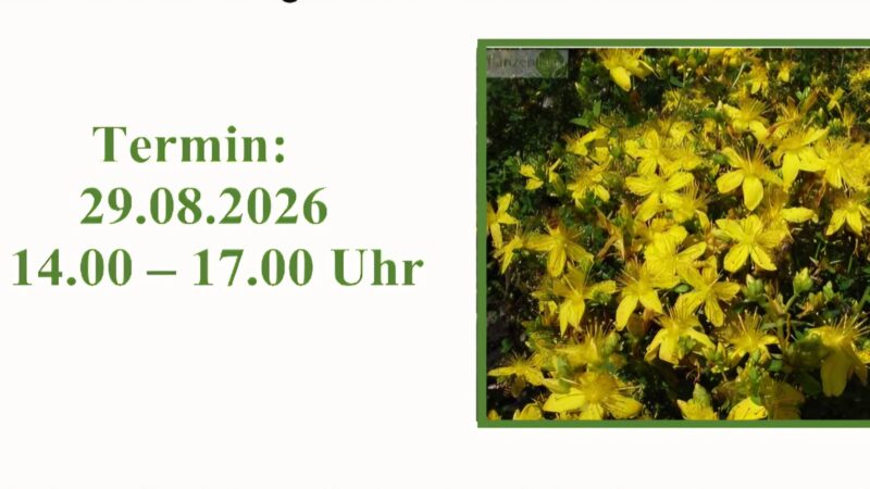 Seminar: Wilde Kräuter im Sommer