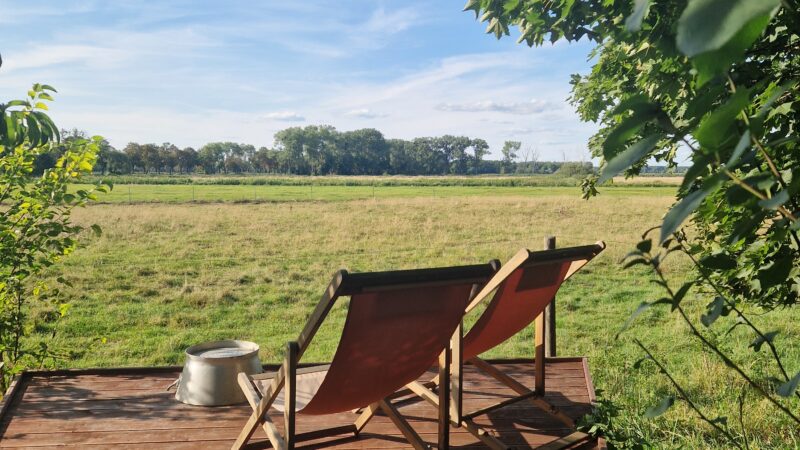 Rückblick Offene Gartenrunde im August
